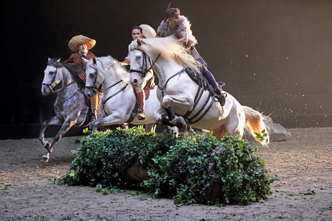 Pferd und Reiter springen über eine Hecke.