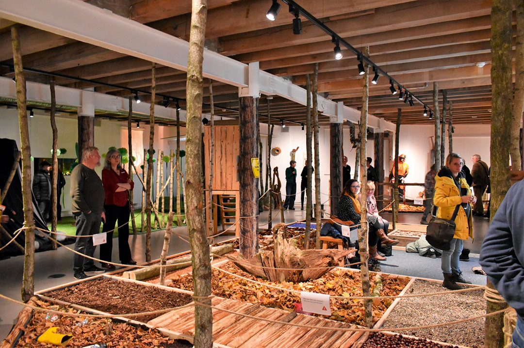 Ausstellung Wald