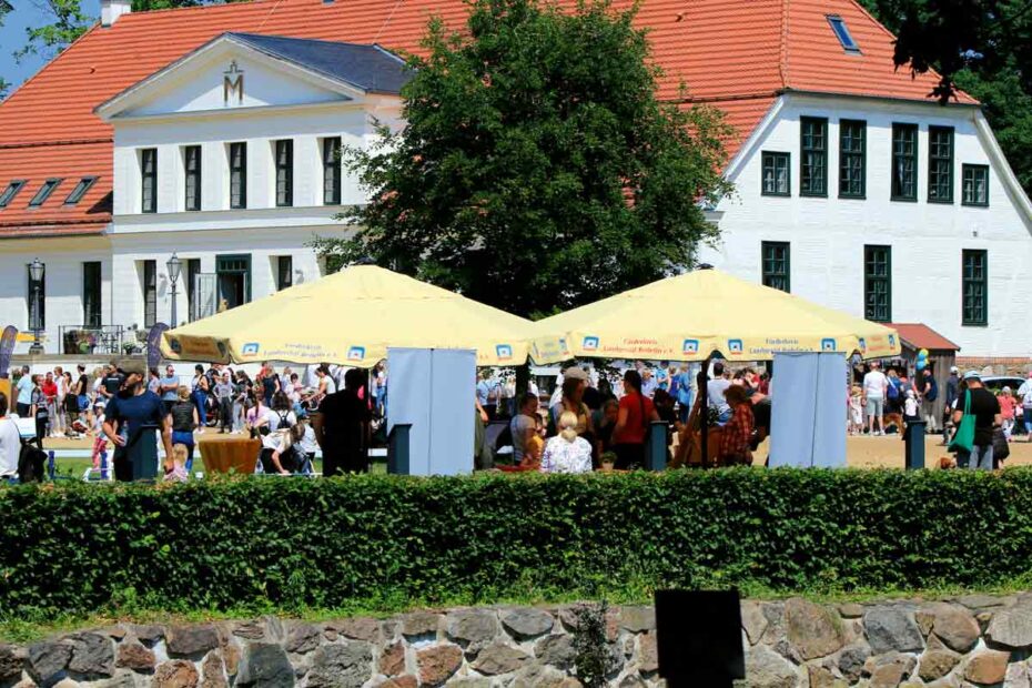 Kindetag in Redefin