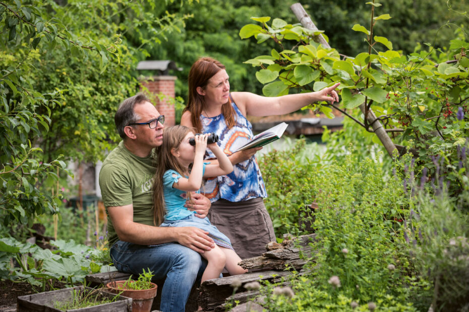 jährlichen Zählung bei der „Stunde der Gartenvögel“
