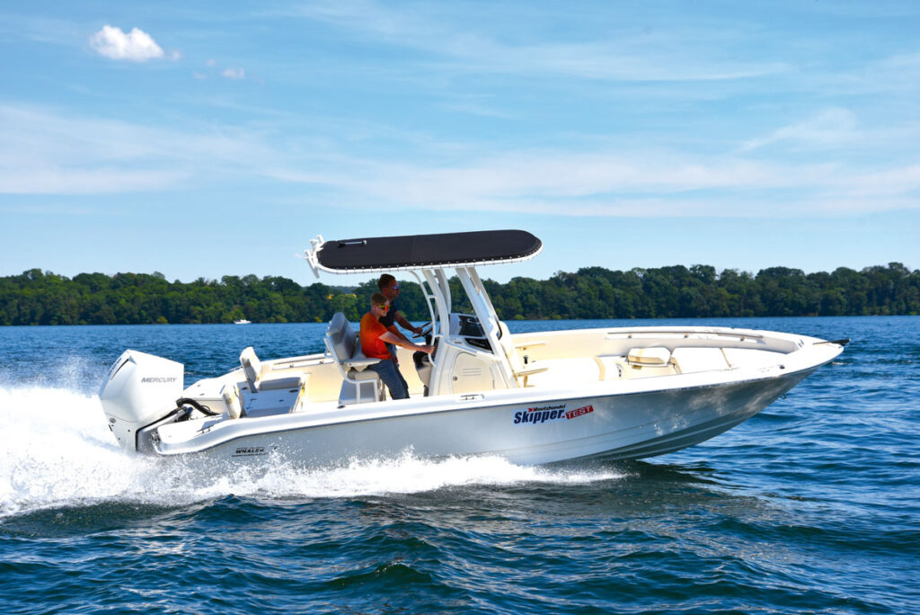 Schiff: Skipper