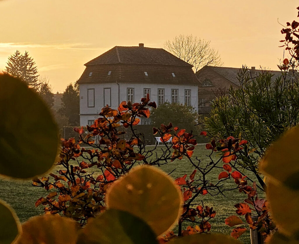 Natureum Ludwigslust 2025