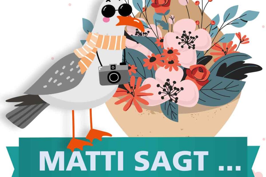 Matti sagt... Aufgaben