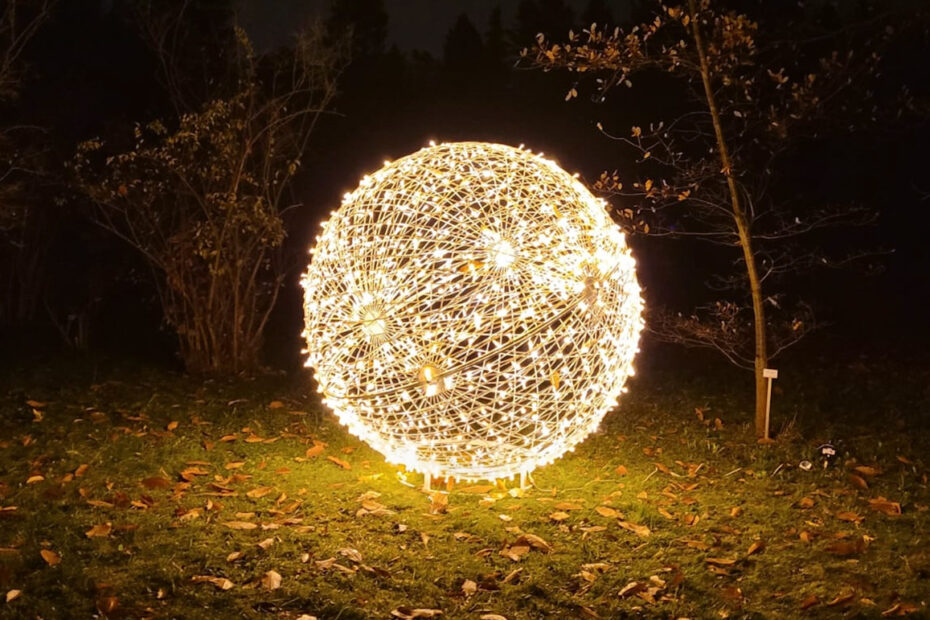 DocAktuell - Dezember 2025