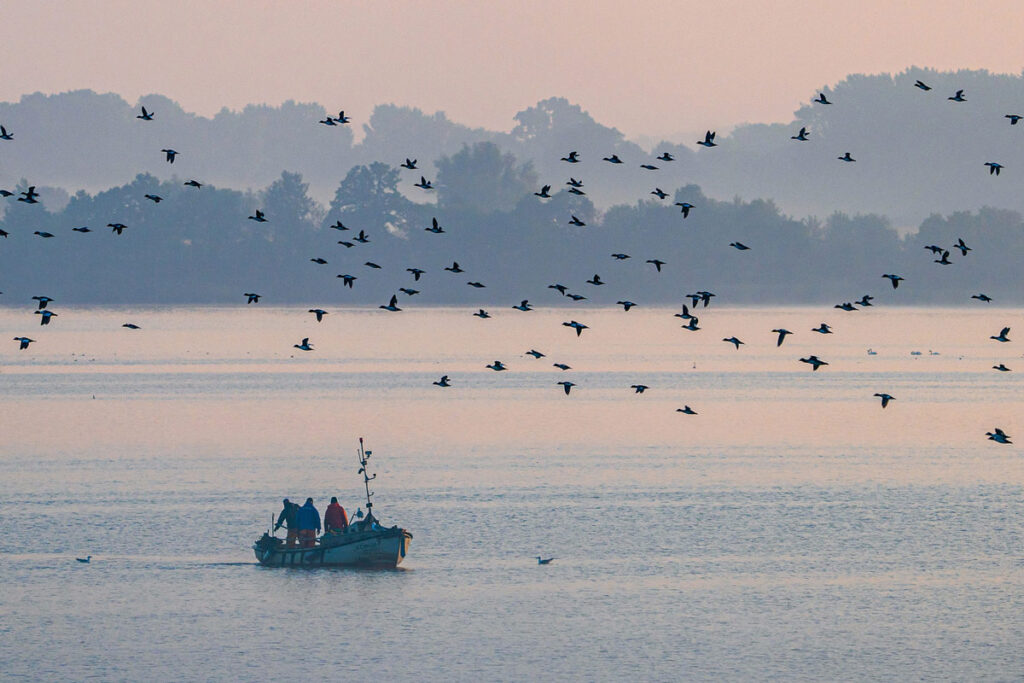 Wismar - Kreisfotowettbewerb 