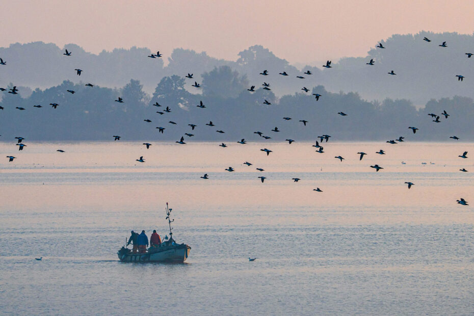 Wismar - Kreisfotowettbewerb