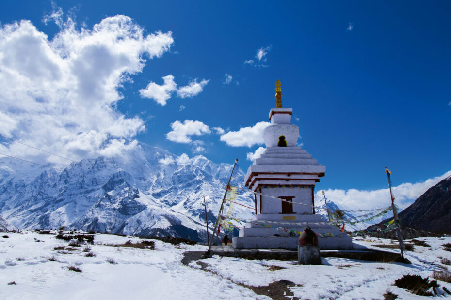 Museumsabend im Ludwigsluster Natureum