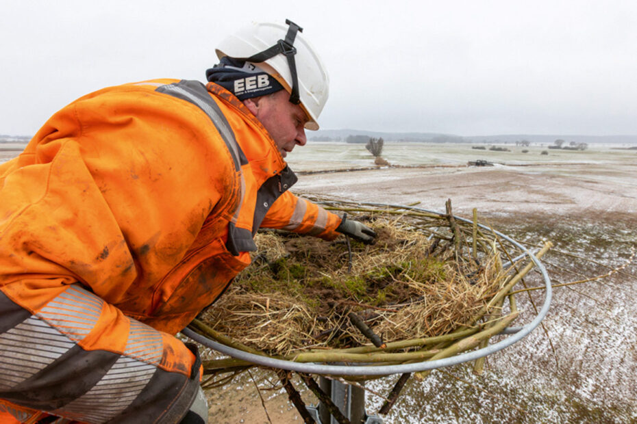 WEMAG errichtet Ausweichmasten als geschützte Brutstätten