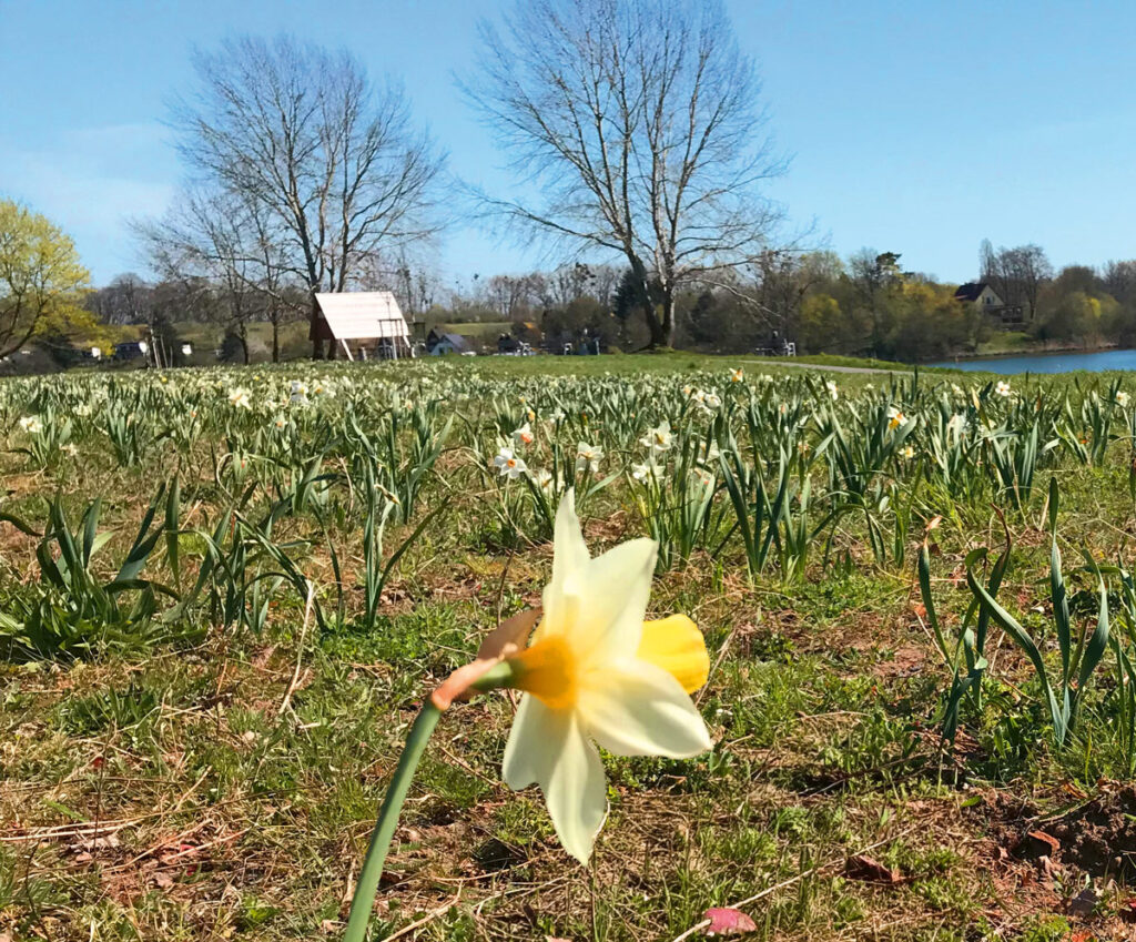 DcoAktuell - März2026