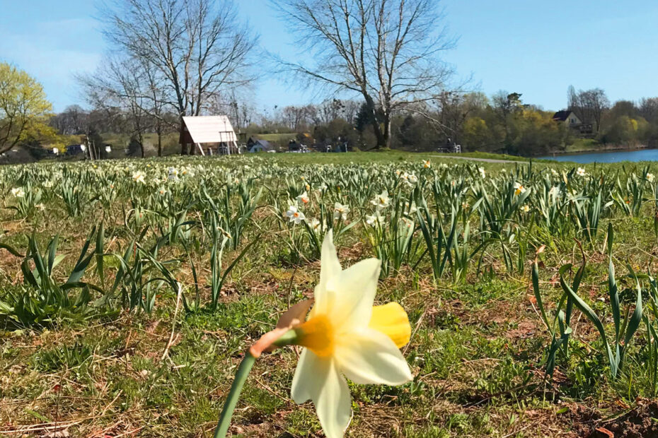 DcoAktuell - März2026