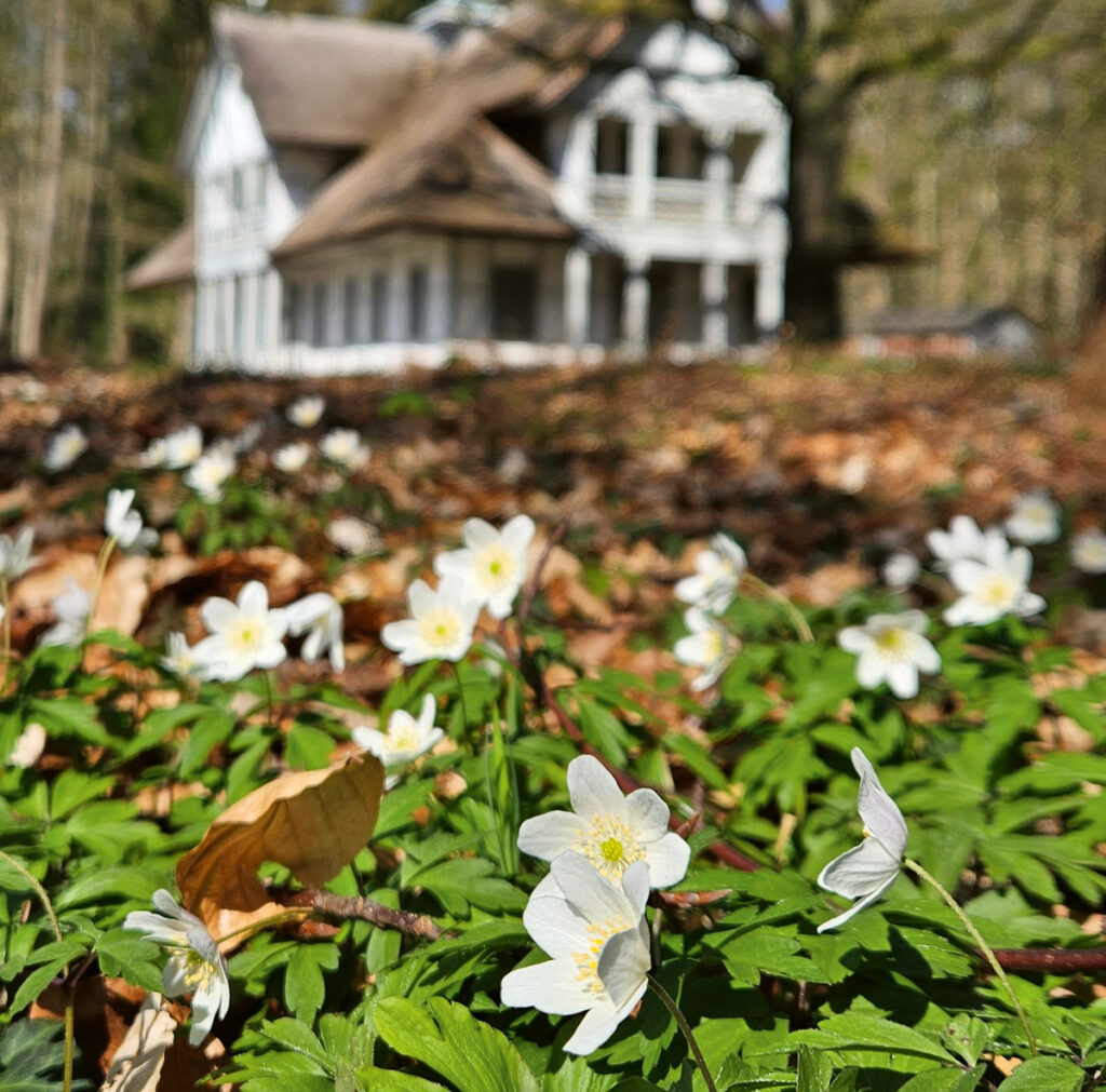 Der Schlosspark Ludwigslust im Wandel der Zeit.
