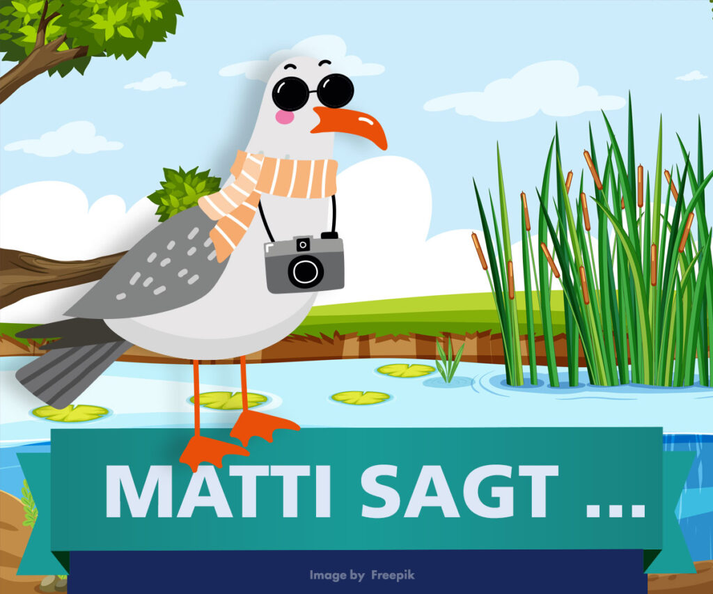 Matti sagt...Blässhühner