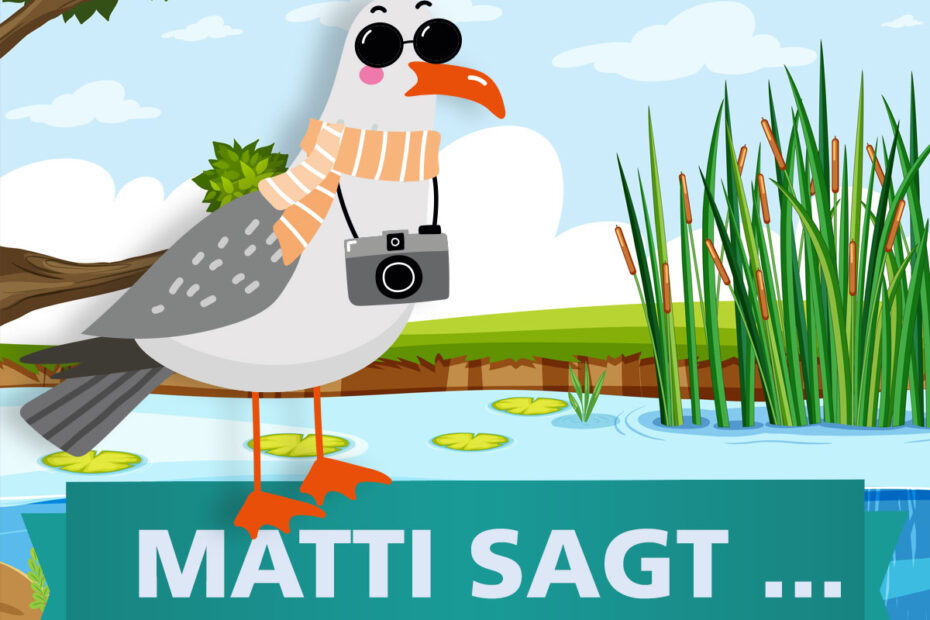 Matti sagt...Blässhühner