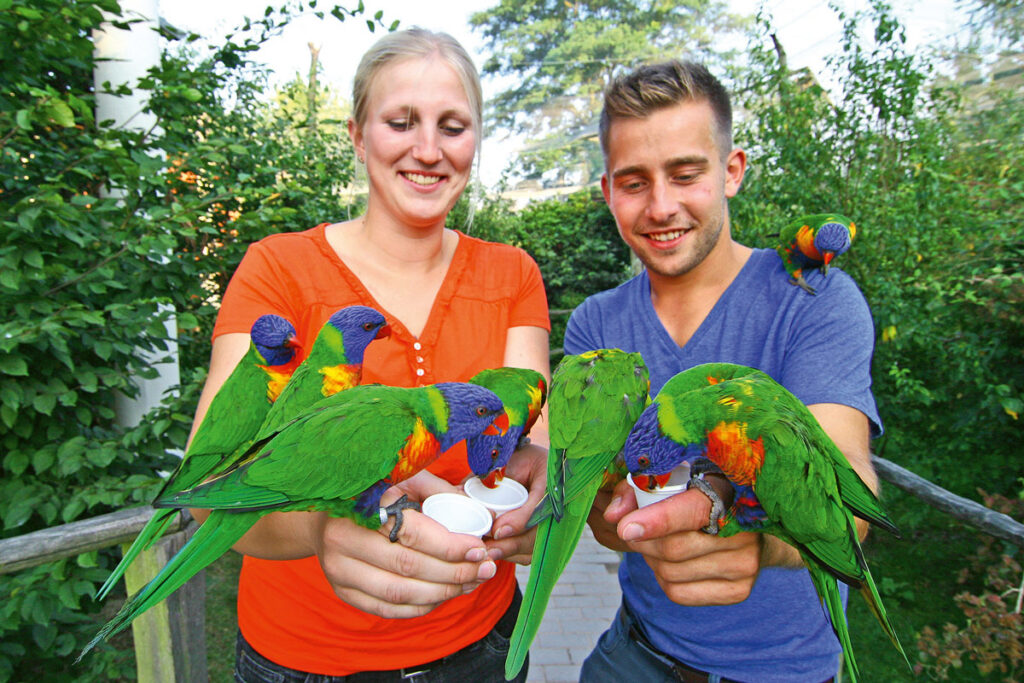 Vogelpark Marlow