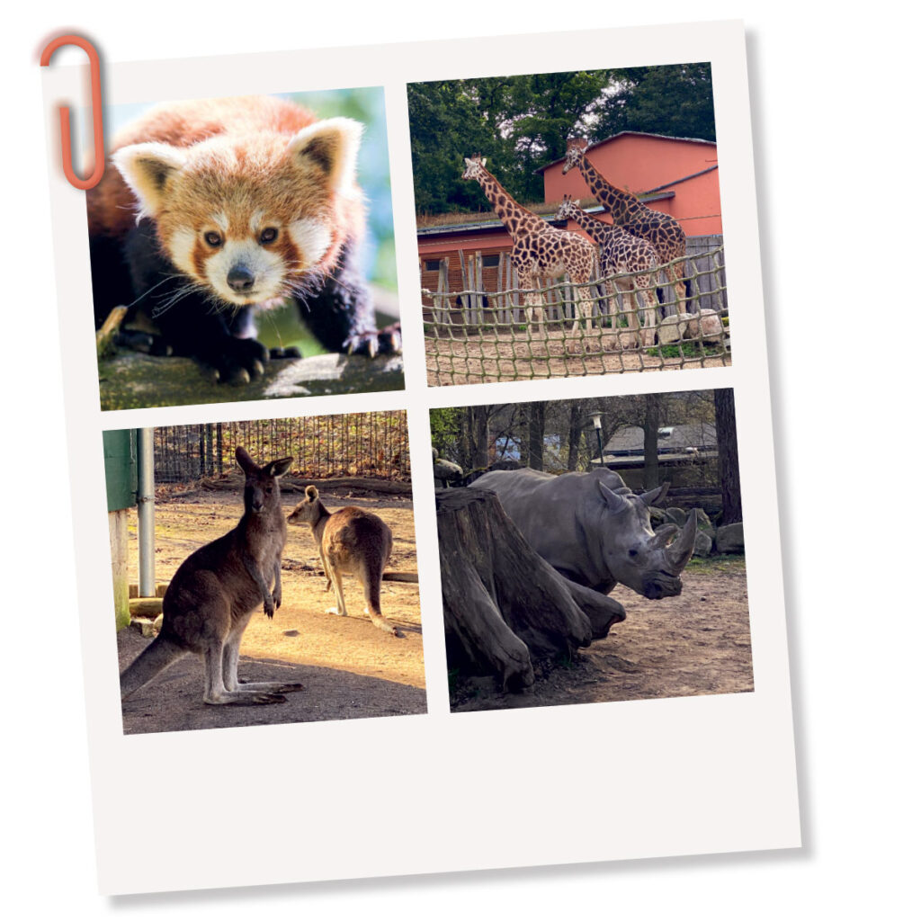 Zoo Schwerin