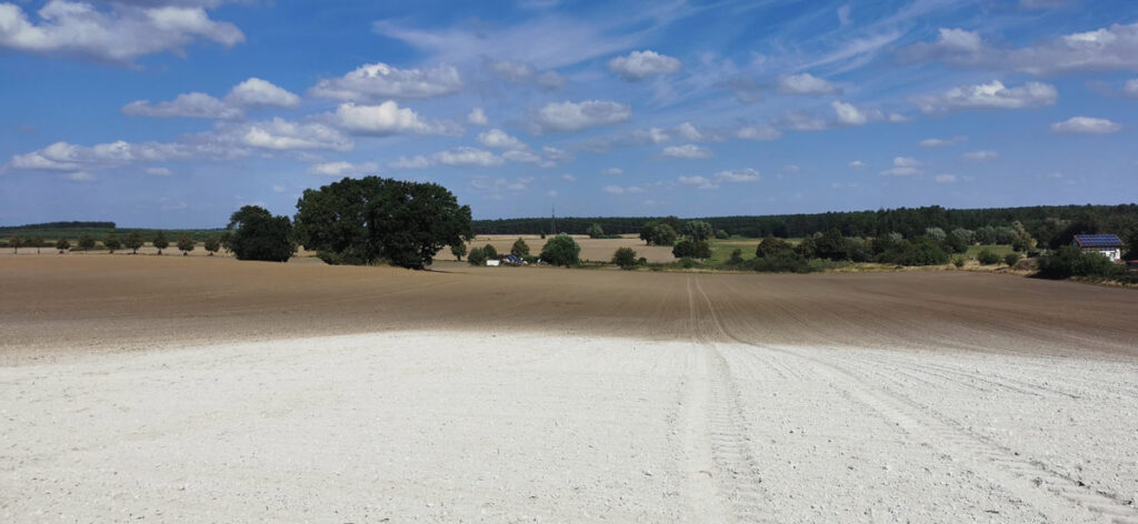 Exkursion - Kreideberg: Naturpark Nossentiner/Schwinzer Heide