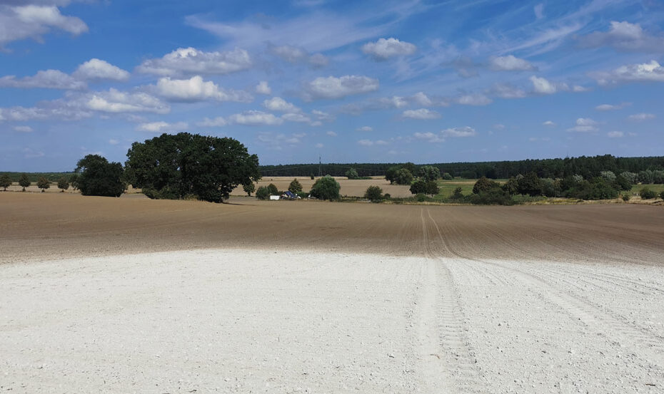 Exkursion - Kreideberg: Naturpark Nossentiner/Schwinzer Heide