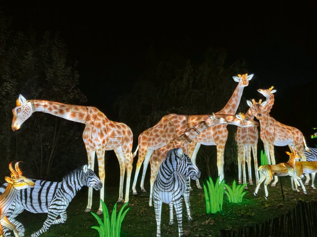 Zoo Schwerin - WILD LIGHTS